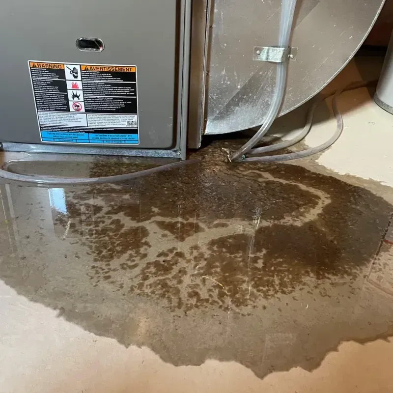 Appliance Leak Cleanup in Lake Waccamaw, NC